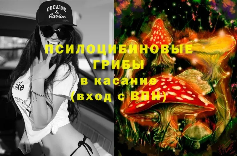 блэк спрут ссылки  Павлово  Галлюциногенные грибы MAGIC MUSHROOMS 